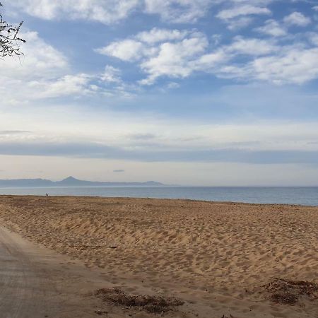 Assagador Del Palmar, 1 Dormitorio, Playa A 50M, By BookinДенія Екстер'єр фото